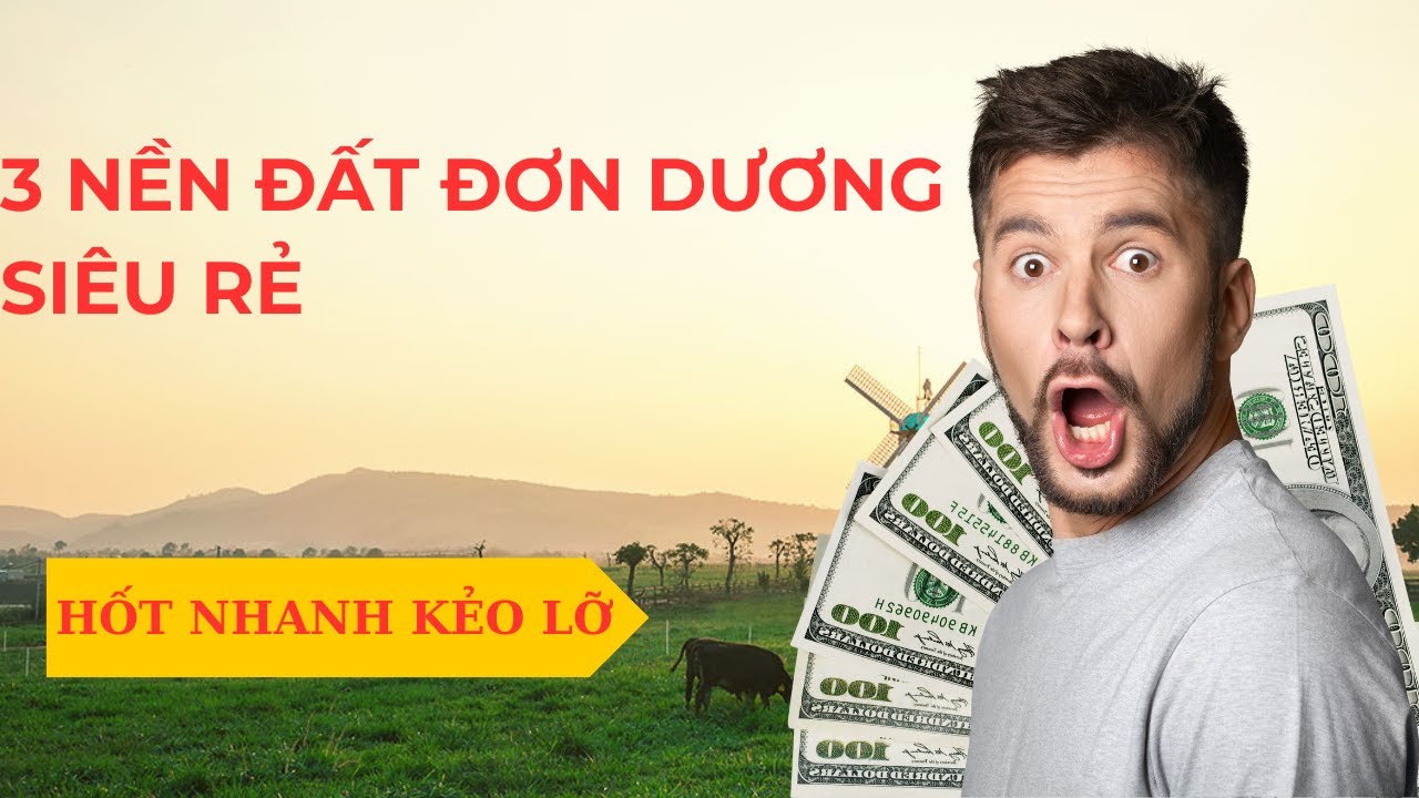 Chỉ 490 Triệu Cho 1 Nền Đất Tại X&atilde; Tu Tra, Đơn Dương, L&acirc;m Đồng, C&oacute; Đ&aacute;ng Để Sở Hữu Ngay L&uacute;c N&agrave;y