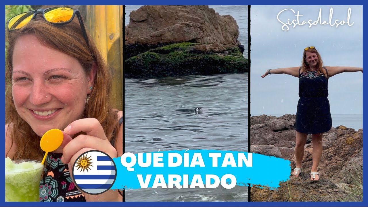 Vi un pingüino 🐧 por primera vez, comí buena carne 🥩 y bebí la limonada más ácida 🍋 de mi vida