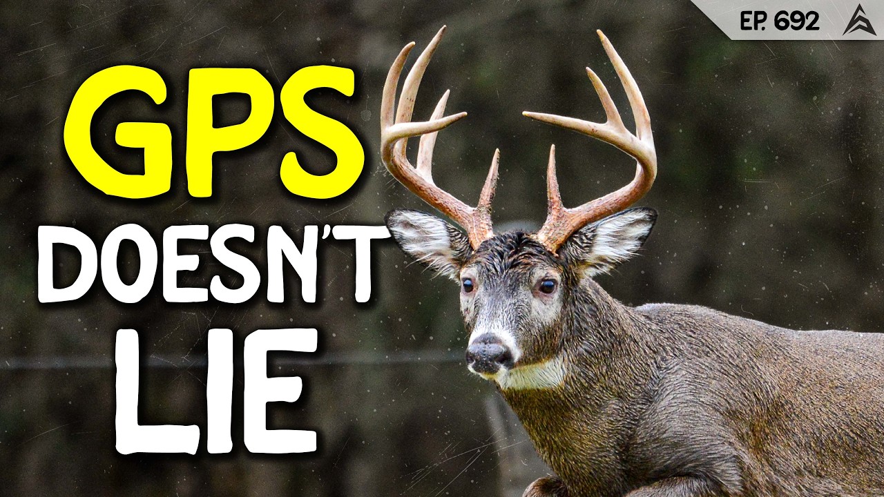GPS STUDY: These Are The Ideal Weather Conditions for DEER HUNTING