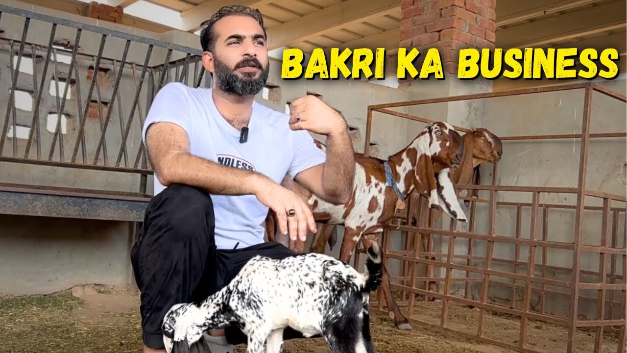 🐐 Goat Business Kaise Start Karein? | Step-by-Step Guide by ARB FARMS