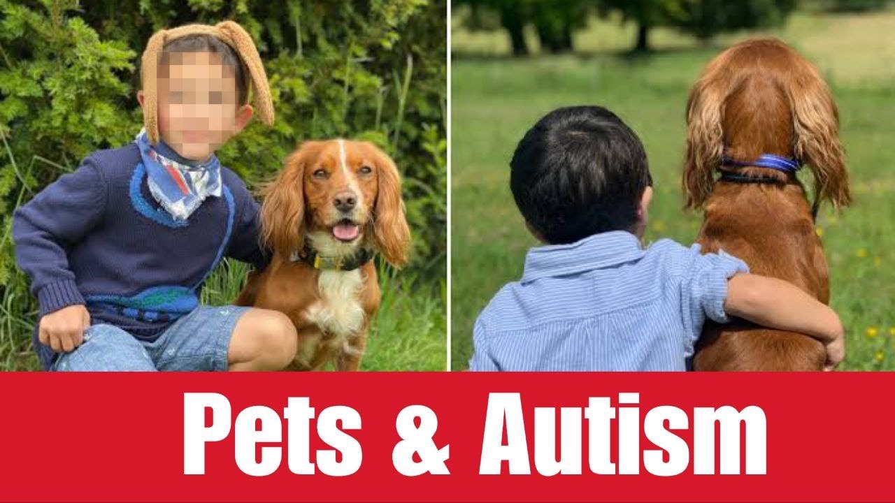 Companion Animals and Autism: A Bond !