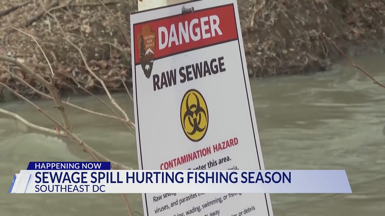 Potomac River sewage spill hurting fishing season in DC