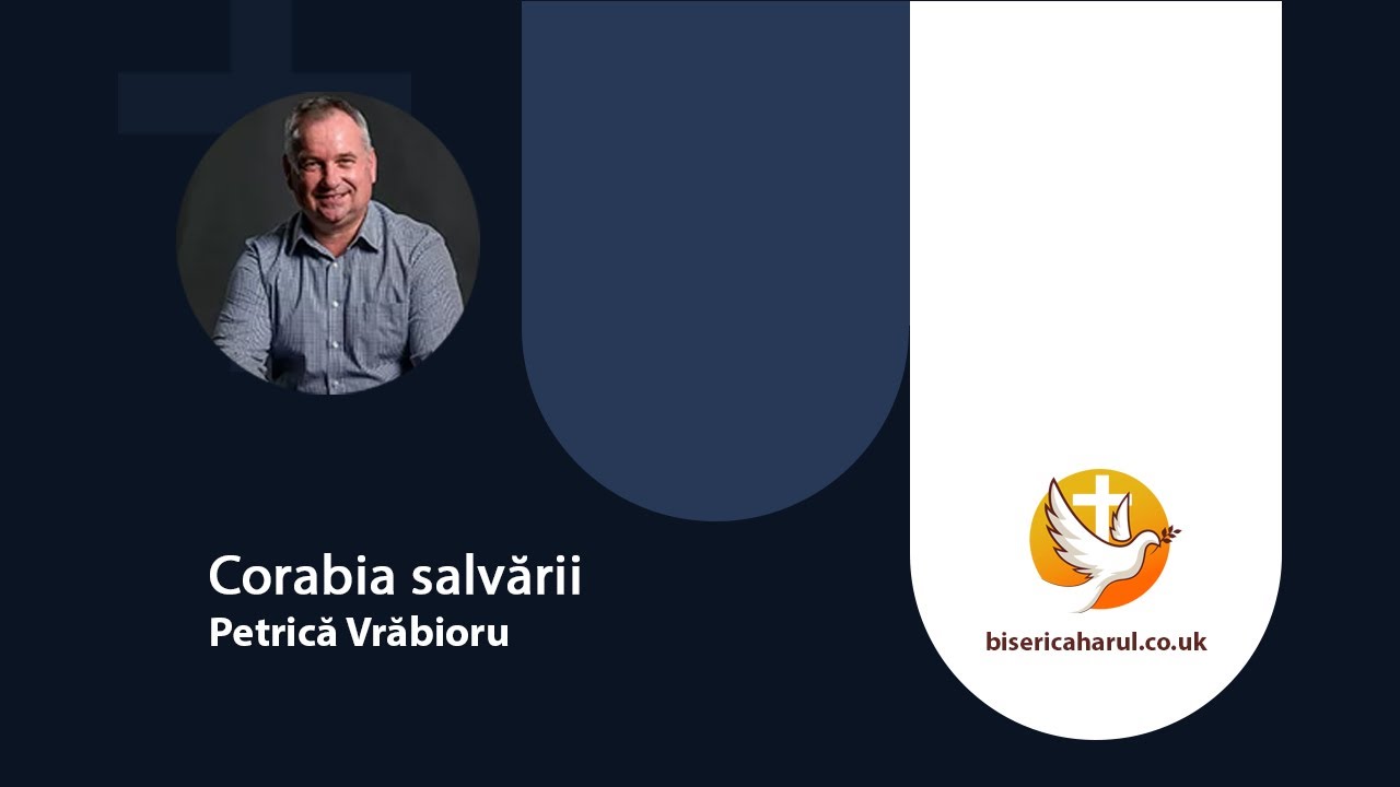 Corabia salvării - Petrică Vrăbioru