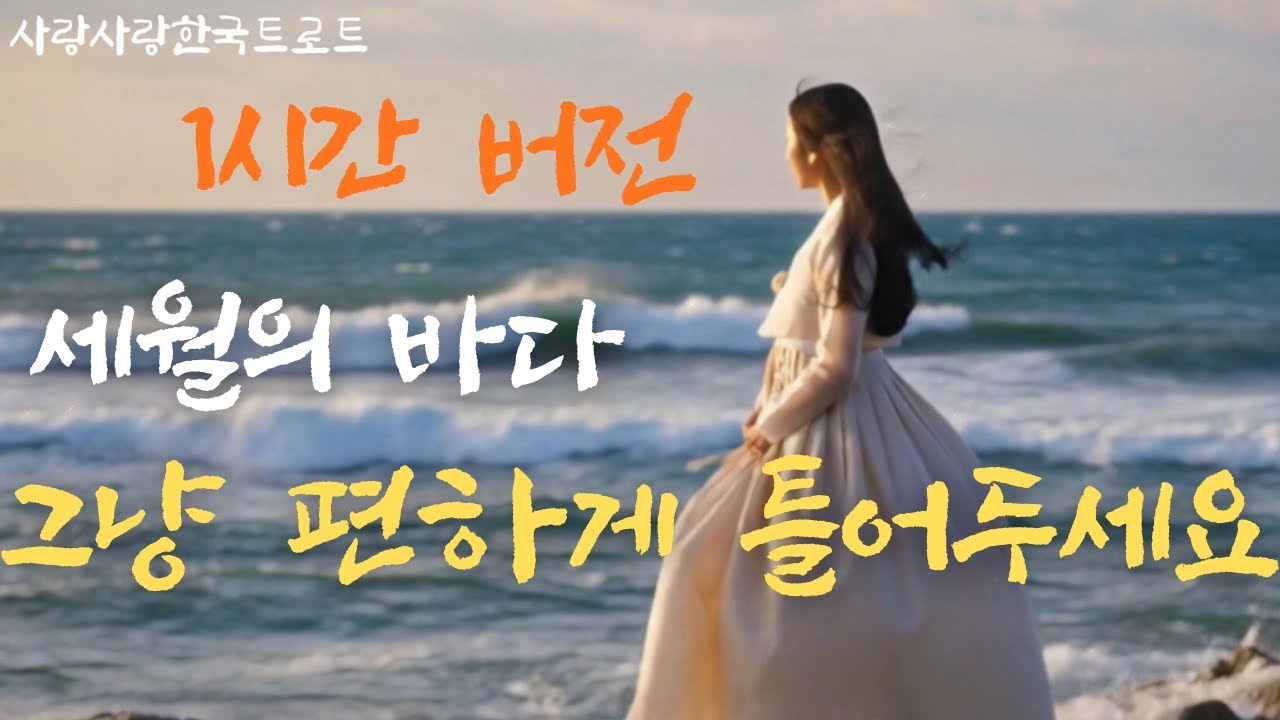 세월의 바다🌸 │ 1시간 연속듣기 │ 가슴뭉클한 인생트로트 │ 감성트로트 │ 신곡트로트 │ 인기트로트 │ 7080 │ 5060 │ K-trot