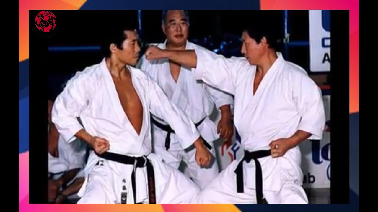 The Best Shotokan Karate Master   -  HIROSHI  SHIRAI #shotokan