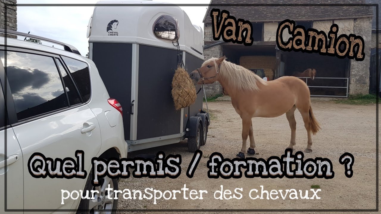 Permis pour transport de chevaux
