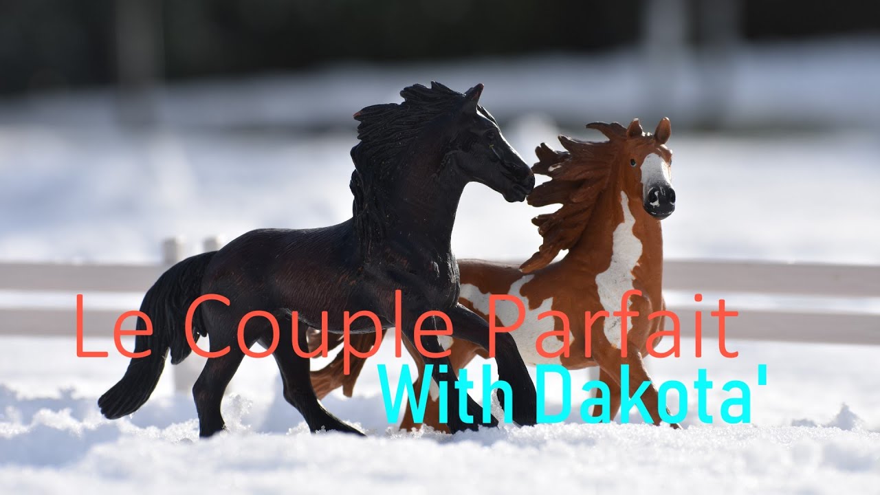 [TAG] Le Couple Parfait with Dakota'