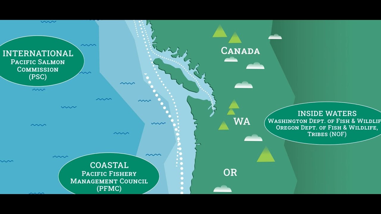 The Science of Salmon Management