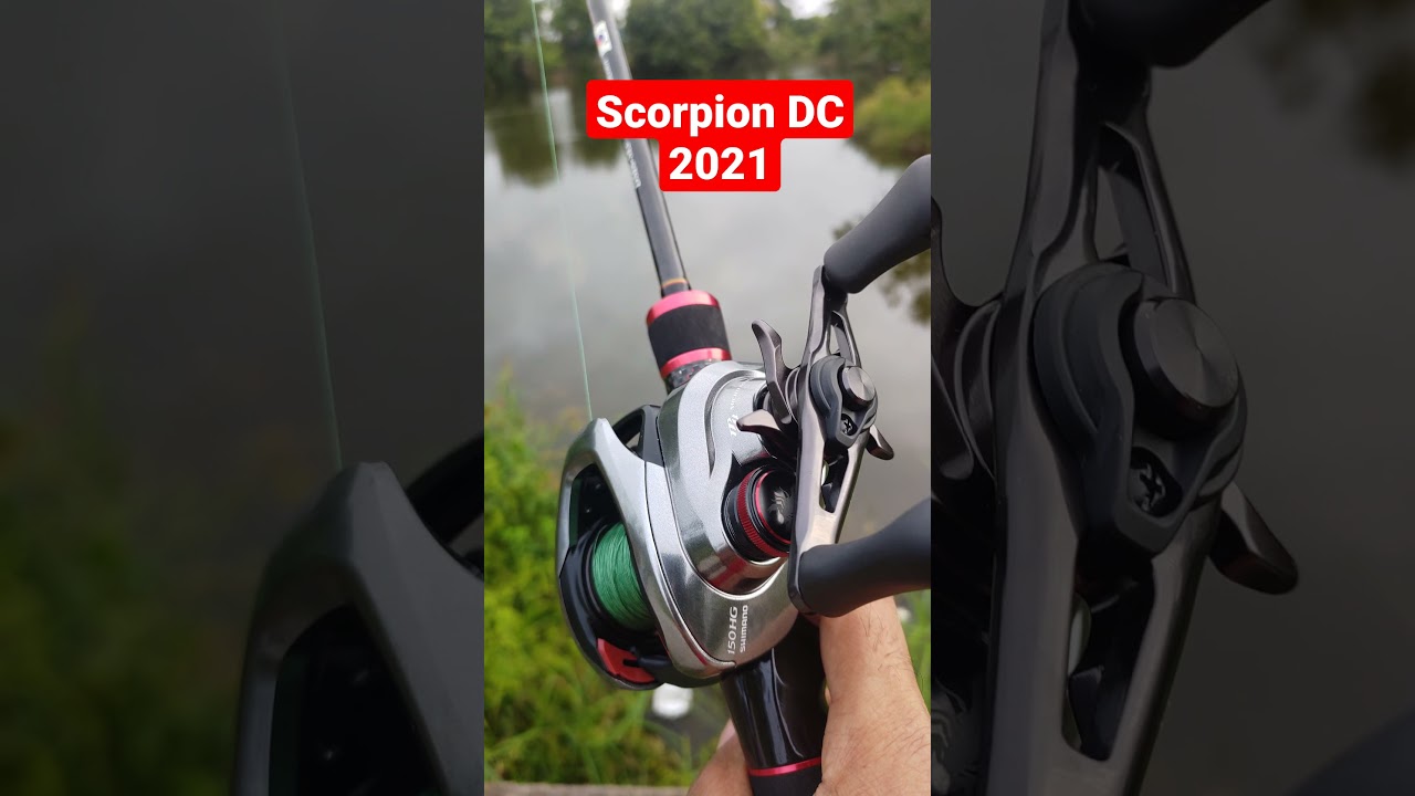 scorpion dc 2021 150h.              #shimano #shimanoreel