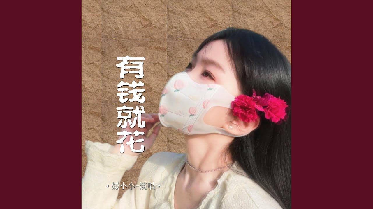 有钱就花 (DJ西米版伴奏)