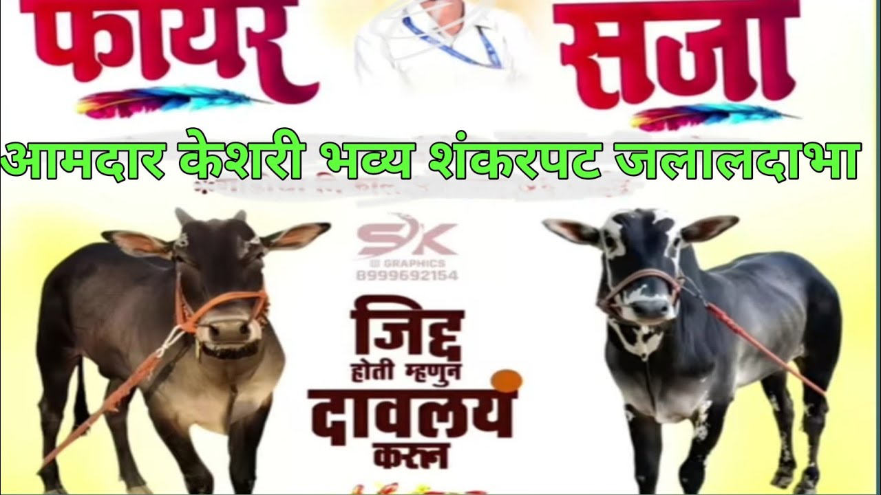 आमदार केशरी भव्य शंकरपट | जलालदाभा शंकरपट  | Bailgada Sharyat💥 फायर सर्जा 