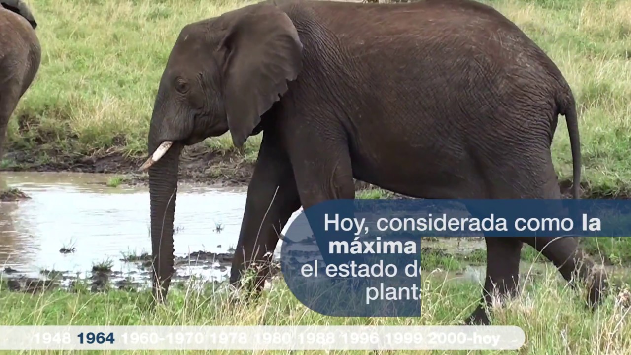UICN &ndash; 70 a&ntilde;os Unidos por la vida y el desarrollo