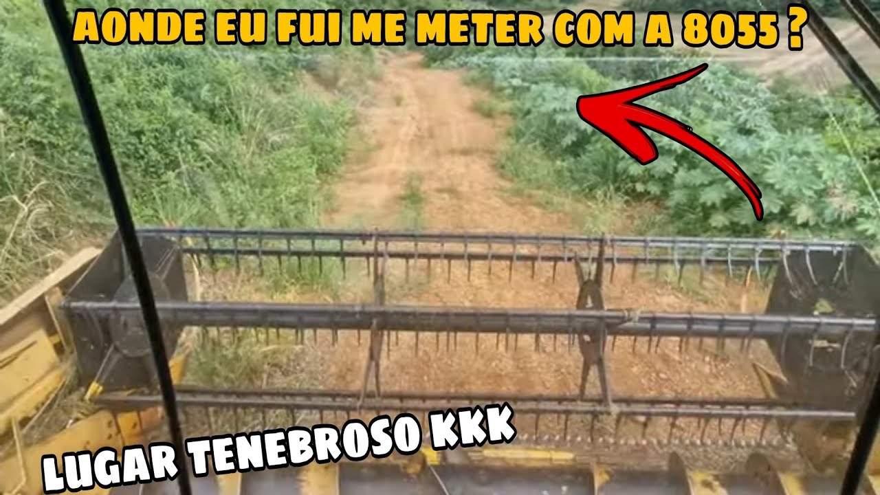 UM LUGAR DE DIFÍCIL ACESSO PARA COLHER !!