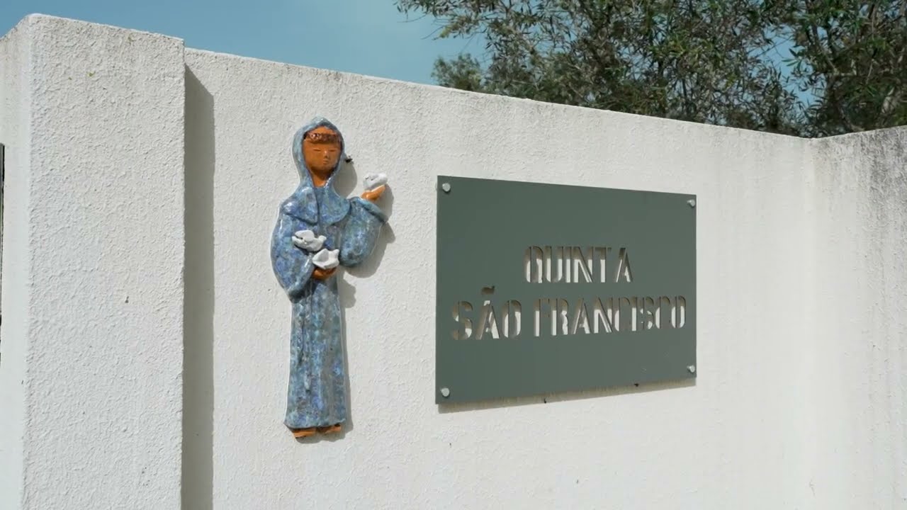 Quinta T9 em Azeitão com piscina e 11 ha de terreno, renovada