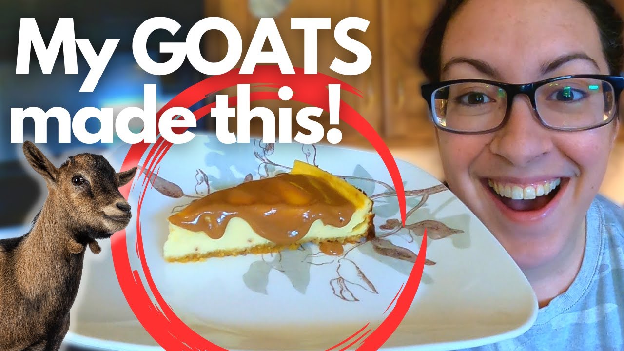 Cheesecake Made From GOAT CHEESE! Farm-Raised to Home Made!