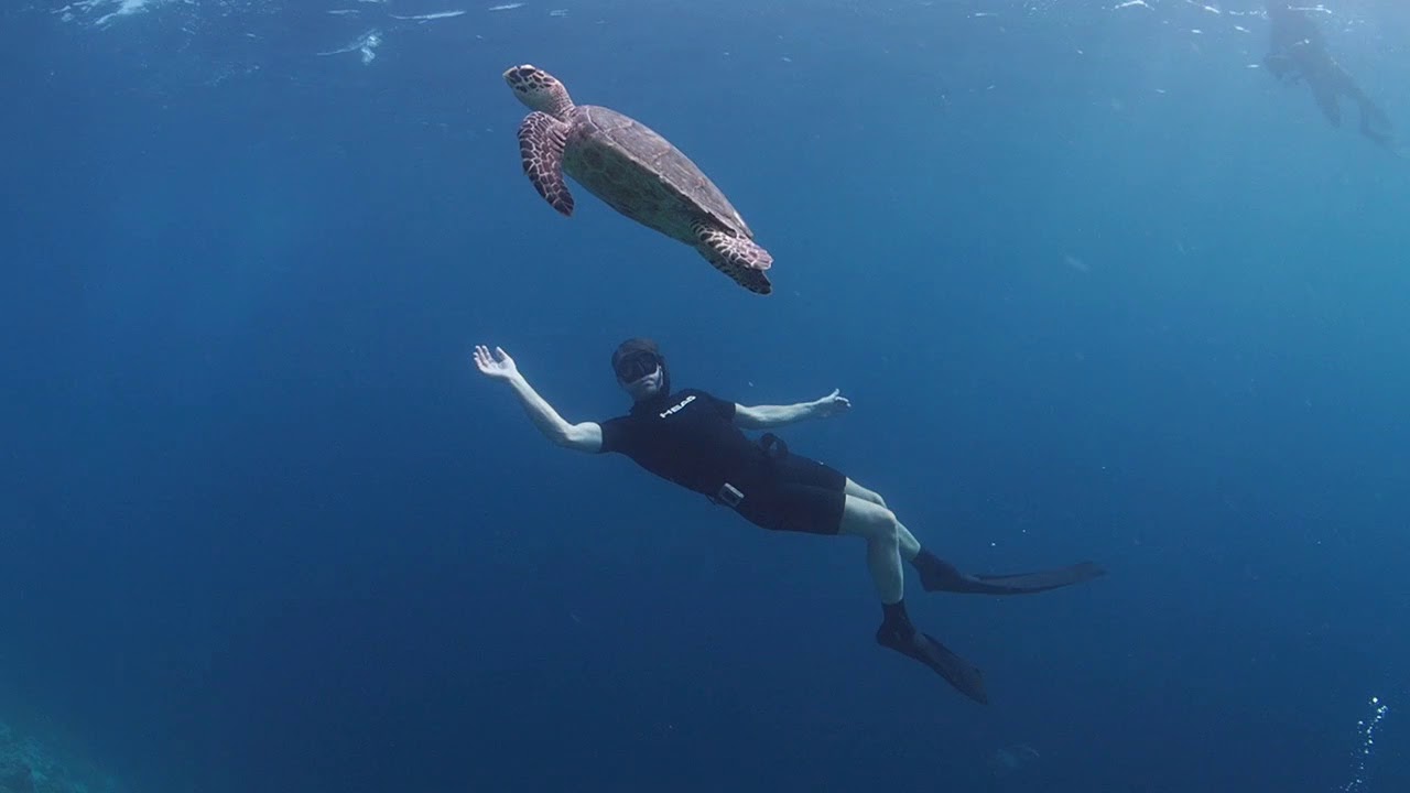 Freediving Dhigurah, Maldives