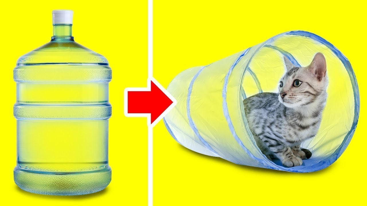 20 JOLIS BRICOLAGES POUR TES ANIMAUX
