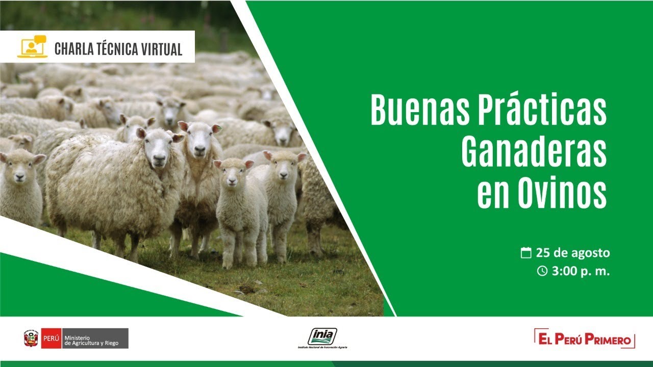 Charla técnica virtual: Buenas prácticas ganaderas en ovinos