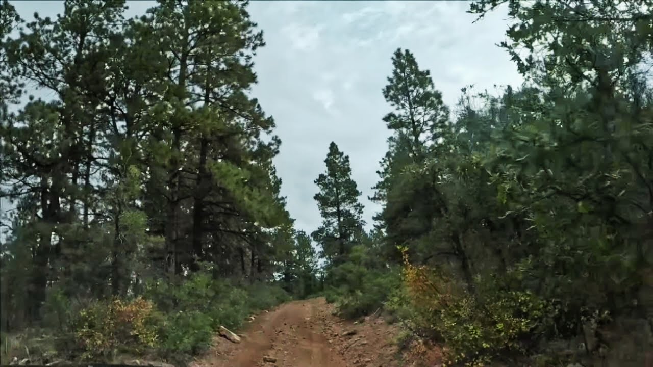 Quiet Mountain Road Drive | Calm POV Journey