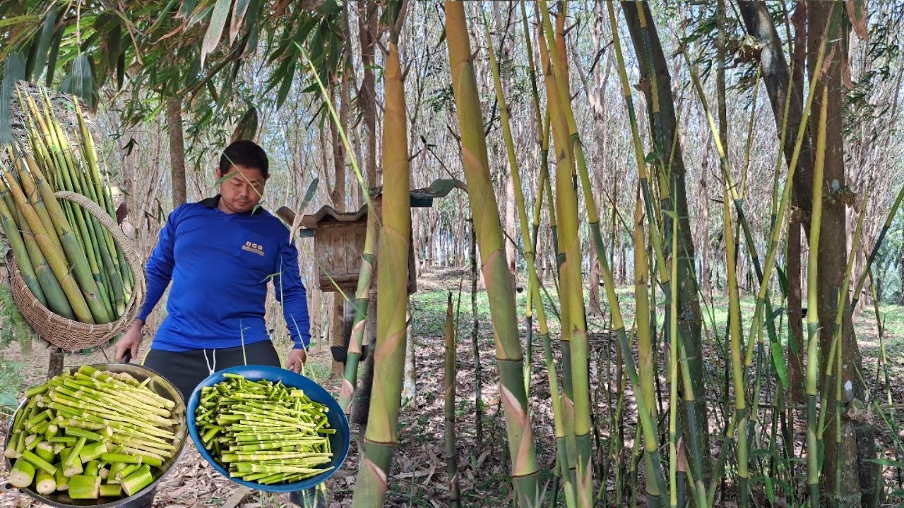🎋‼️สุดยอดแห่งความอวบ‼️ ความงาม‼️ แหนงหน่อไม้มีแต่แหนงส๊วย‼️สวย‼️