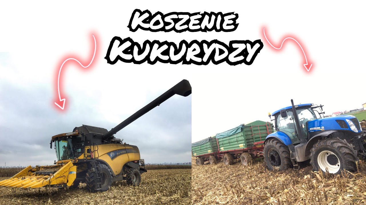 !!KOKUNA!! Zbiór Kukurydzy w Mirakowie IGP ! ponad 11 ton suchego ziarna z 1ha, Zakopany New Holland