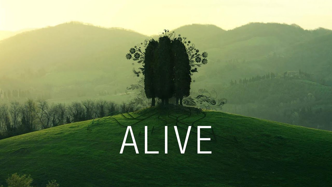 ALIVE (Concert Paște 2017)
