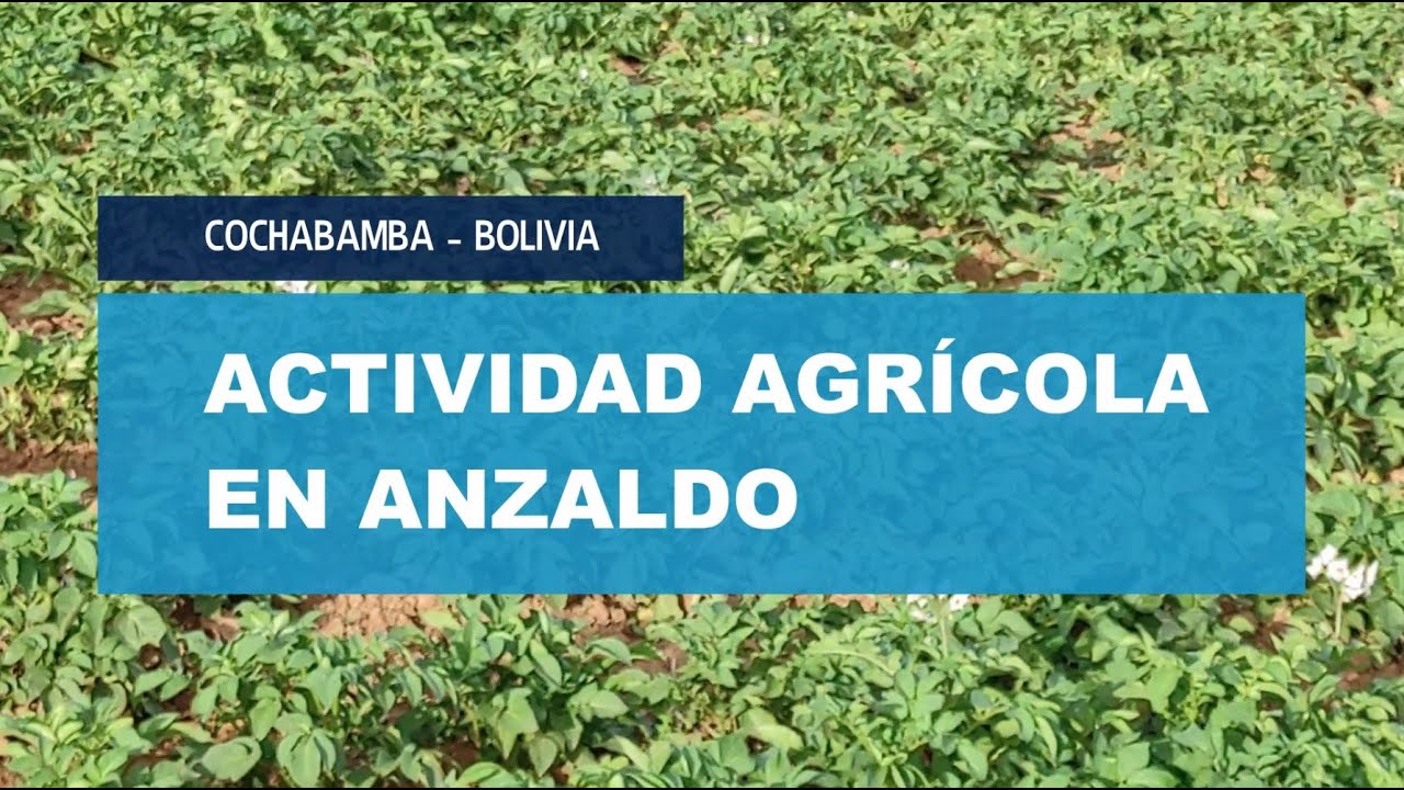 Producci&oacute;n Agr&iacute;cola en Anzaldo