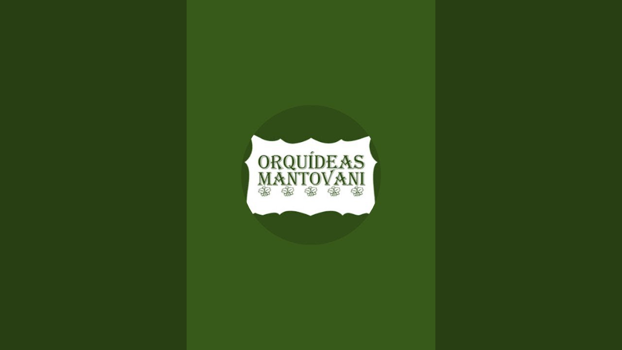 Cruzamentos de Brassavola, Sopronitis, Laelia e os resultados