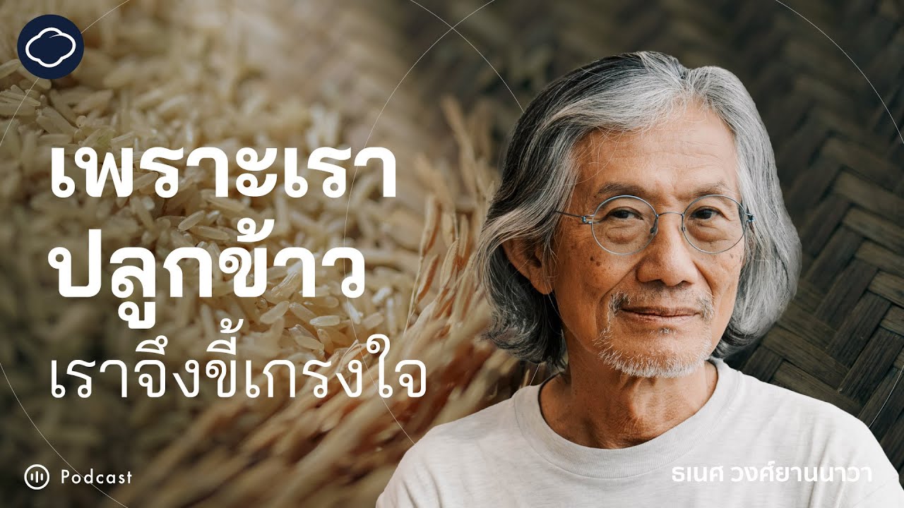 In Relationships | SS 7 EP. พิเศษ | ข้าว เครื่องมืออุดมการณ์ทางการเมือง เพราะปลูกข้าวเราจึงขี้เกรงใจ