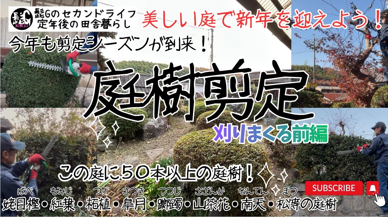 【髭Gのセカンドライフ：庭樹剪定Ⅱ】刈りまくる前編✂️綺麗な庭で新年を迎える☀️剪定シーズン到来！AI音声入り💋定年退職後のセカンドライフ⭐️