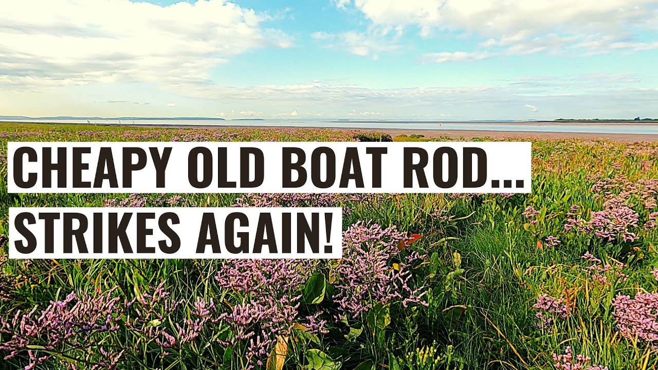 A Great Day Out With Bonus Fish! Sea Fishing UK