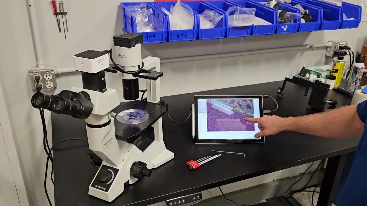 Olympus CKX41 Tissue Culture Microscope demo with Tucsen Michrome 6 Camera | Microscope Marketplace
