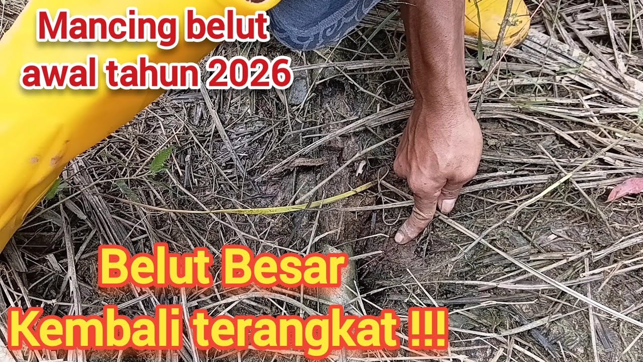 MANCING BELUT AWAL TAHUN 2026 @FISHINGSR999