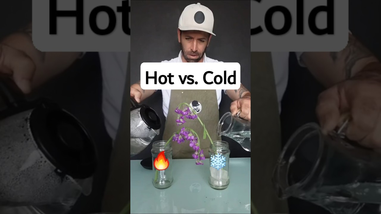Почему горячая вода сохраняет цветы свежими!