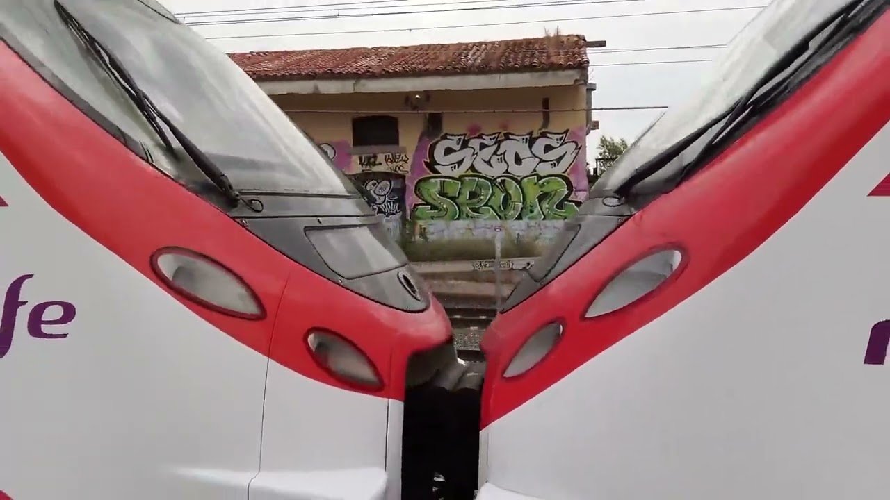 Trenes por la estación de el Goloso (Madrid).