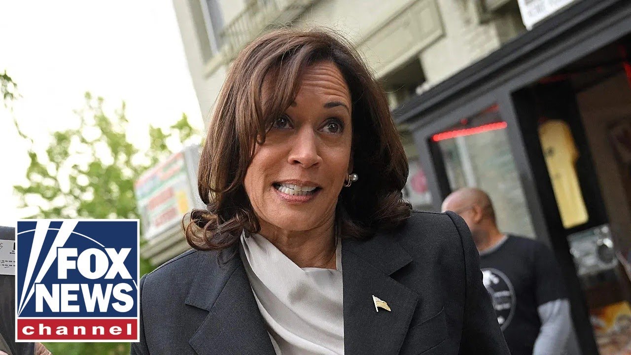 Media 'cannot stop fawning' over Kamala Harris, but new poll reveals Americans' doubts