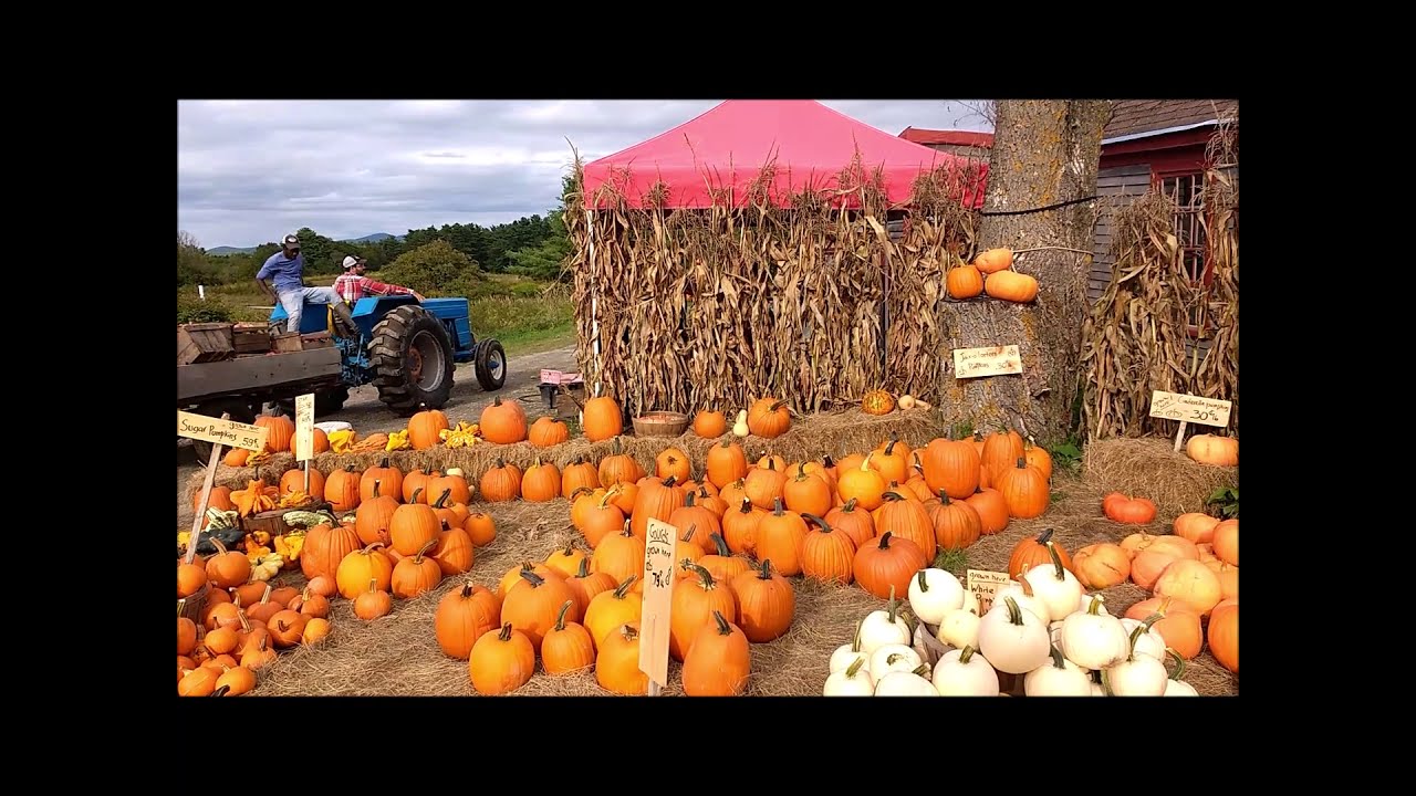 A Visit to Friendship, Maine - Sept. 2018
