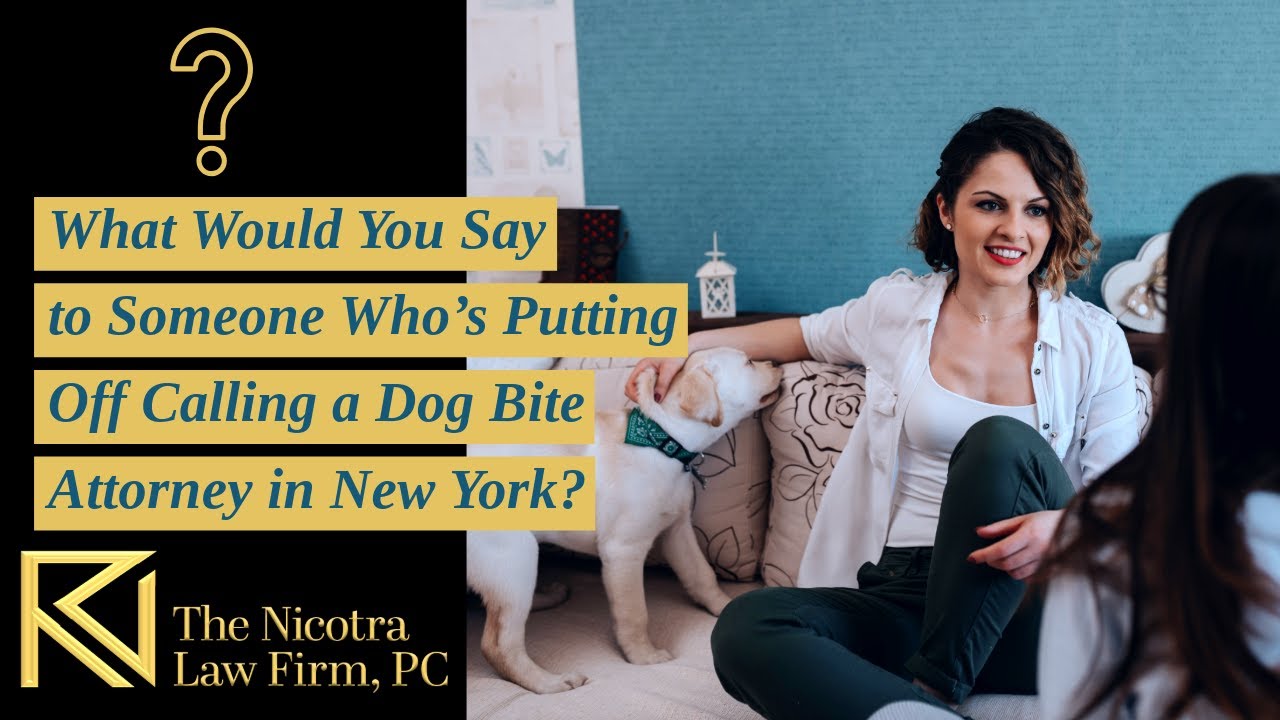 What Would You Say to Someone Who&rsquo;s Putting Off Calling a Dog Bite Attorney in New York?| Watch Now!