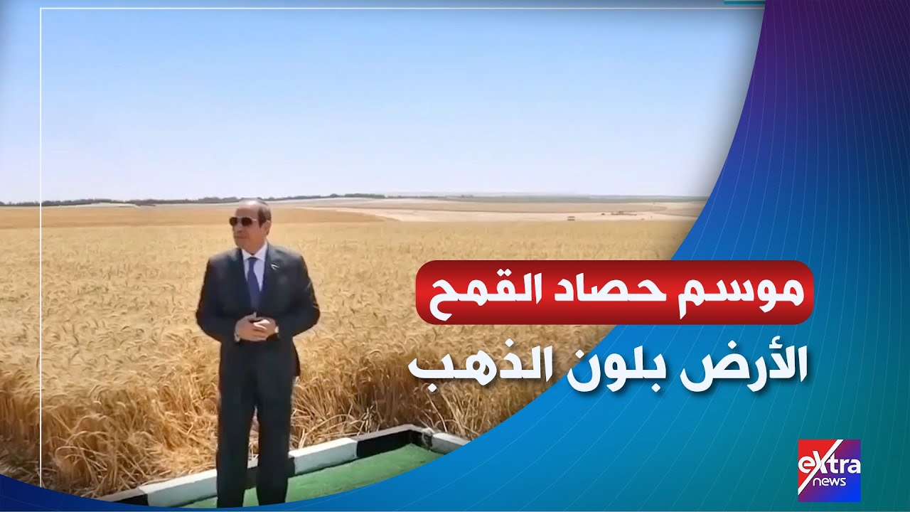 الأرض بلون الذهب.. الرئيس السيسي يشهد فعاليات موسم حصاد القمح 2025