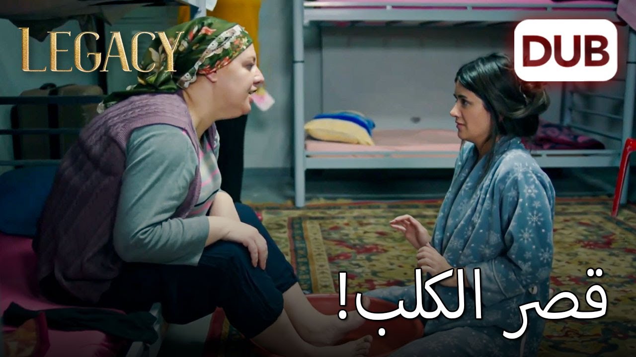 في أفضل يوم ، أسوأ كابوس! |  الأمانة الحلقة 221