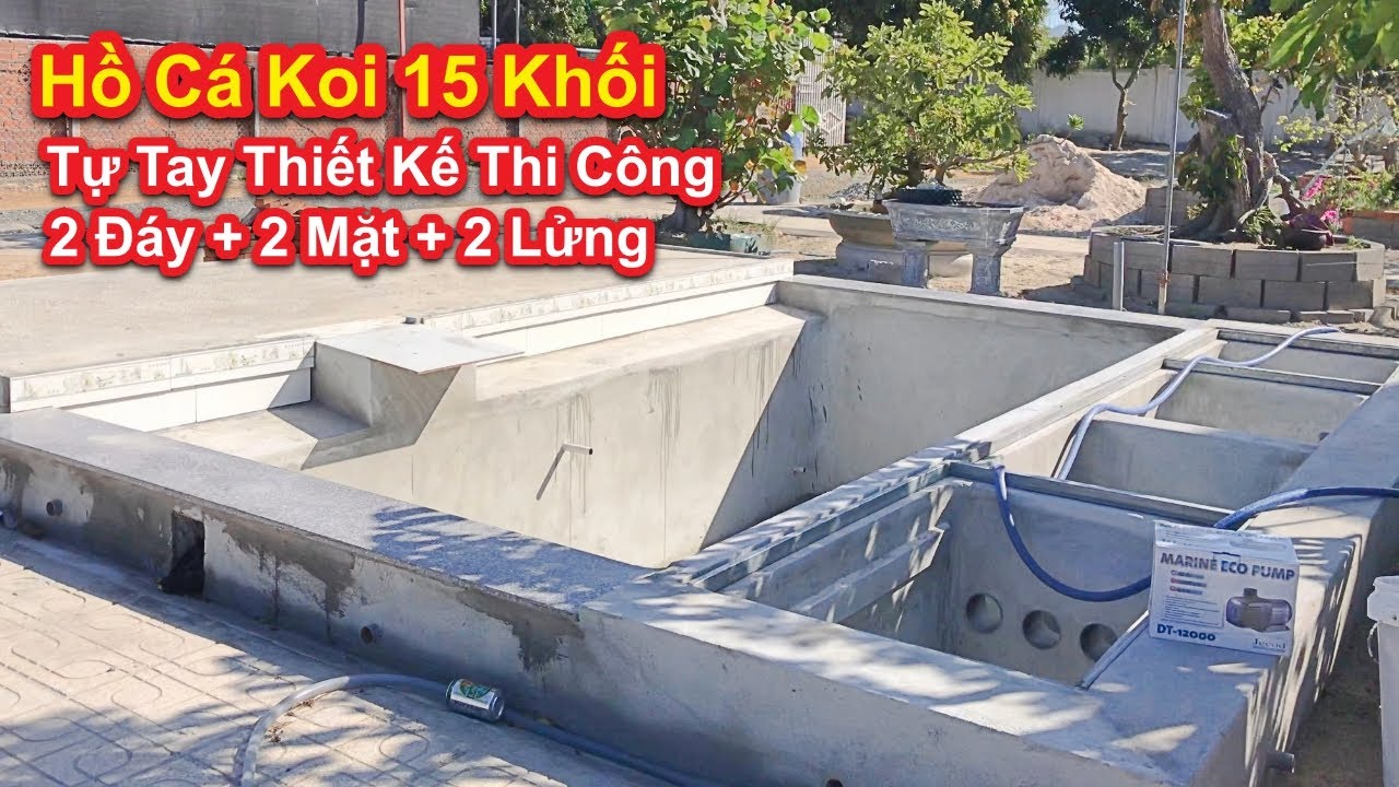 Hồ Cá Koi 15 Khối Tự Tay Thiết Kế Thi Công Gọn Đẹp. Hồ Cá Koi Chú Xuân Cam Lâm. #hocakoi #hokoi