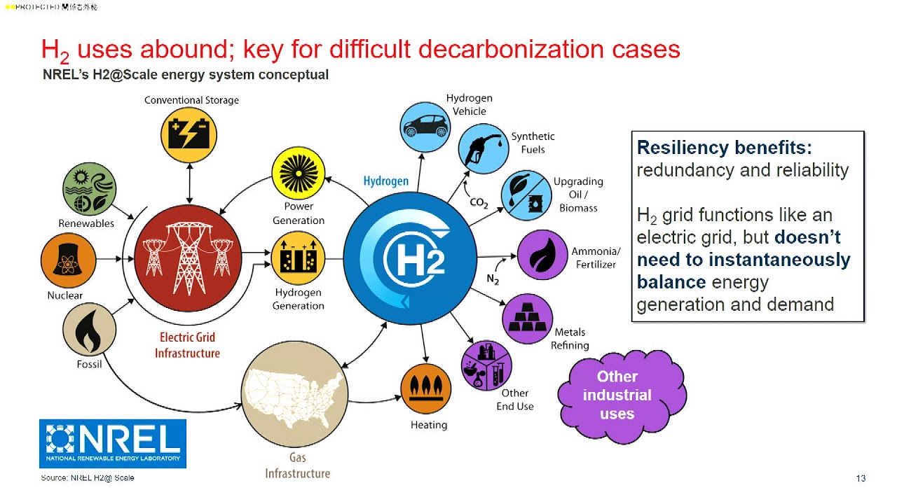 The Hydrogen Economy Future