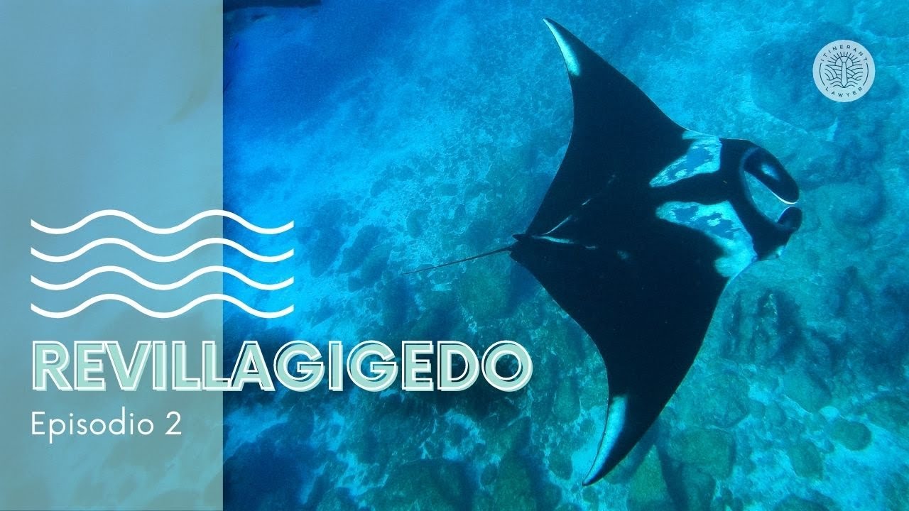 Revillagigedo: un paraíso submarino y de buceo en México