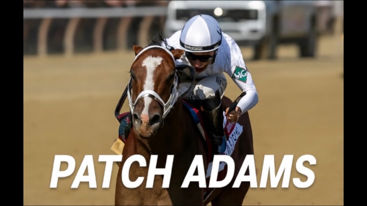 Talking Racehorses: Patch Adams 