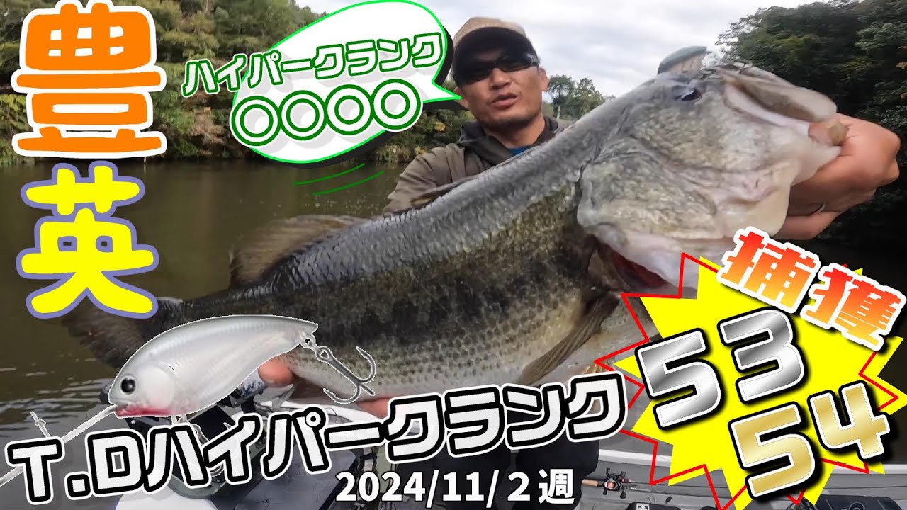 【豊英ダム】１１月2週　T.Dハイパークランク　デカバスGETだぜ。54cm53cm　５キロオーバー　＃豊英　＃バス釣り　＃11月バス釣り　＃ダイワ　＃ハイパークランク　＃ハイパークランクKARA
