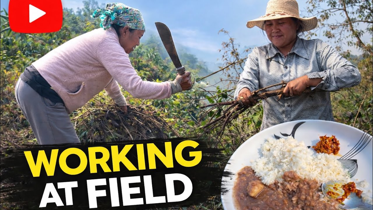 A day of working at field🌱|| village life vlog❤️#arunachalpradesh 