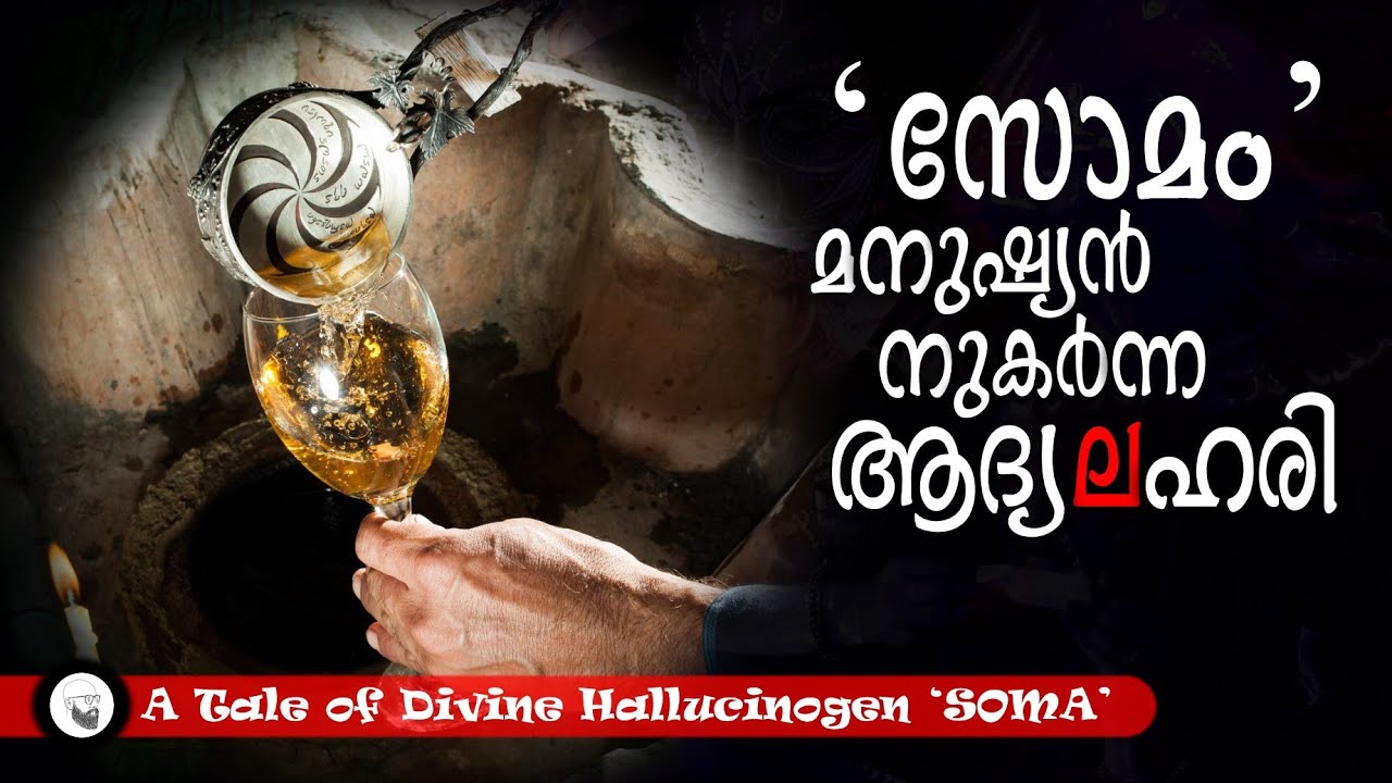 സോമം : മനുഷ്യൻ നുകർന്ന ആദ്യ ലഹരിയുടെ കഥ ||  A Tale of Divine Hallucinogen ‘SOMA’