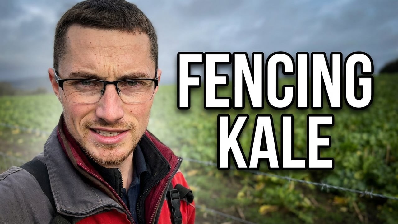 We FINALLY Get The Kale Fenced!