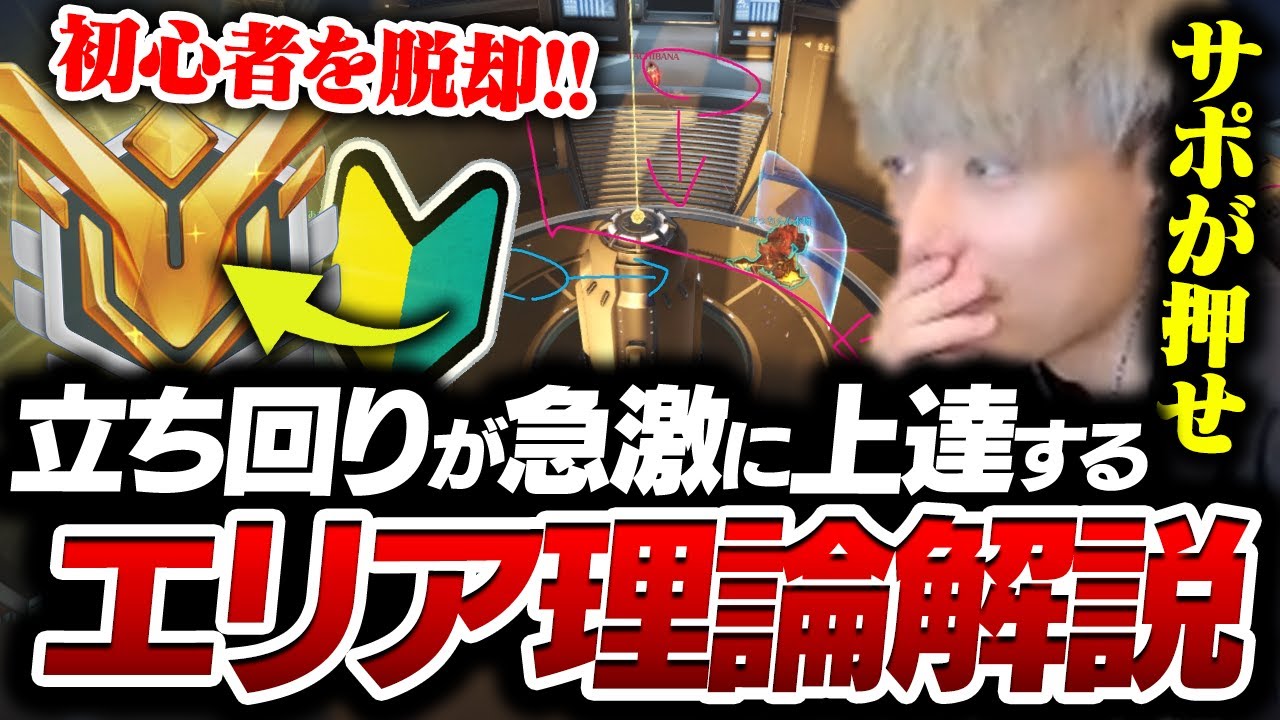 【初心者講座】日本代表が解説するOWエリア理論  ～初級編～【オーバーウォッチ2 / OW2】