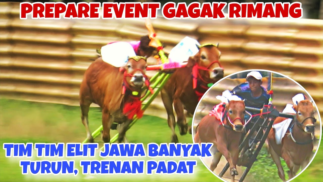 LANCENG MESAKAT DAN BANYU LANGIT NGADURUS || PERSIAPAN MENUJU EVENT GAGAK RIMANG 🔥🔥